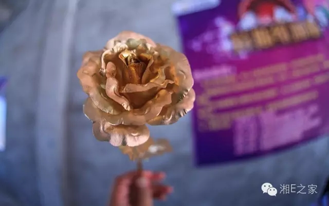 天嬌汽車文化節(jié)-一個(gè)可以吃喝玩樂(lè)的汽車節(jié)！