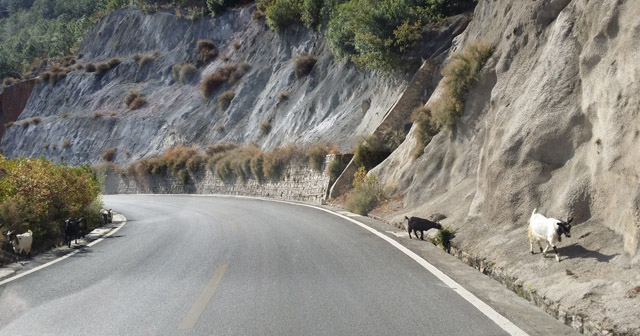 講真的，我碰到了20年后的我...