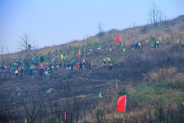 建設(shè)生態(tài)邵陽(yáng)城，天嬌集團(tuán)在行動(dòng)