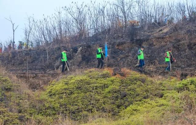 建設(shè)生態(tài)邵陽(yáng)城，天嬌集團(tuán)在行動(dòng)