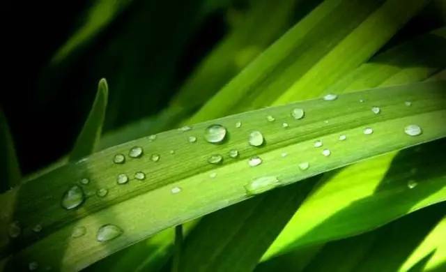 白露丨與CR-V一起，品味秋天的氣息