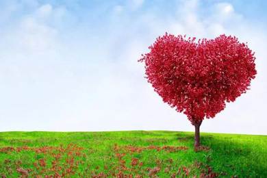 愛心灑人間，走進新時代..........倒計時兩天