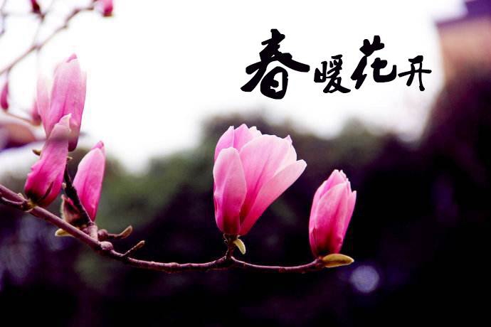 春暖花開(kāi) 教你春季如何做汽車(chē)保養(yǎng)！