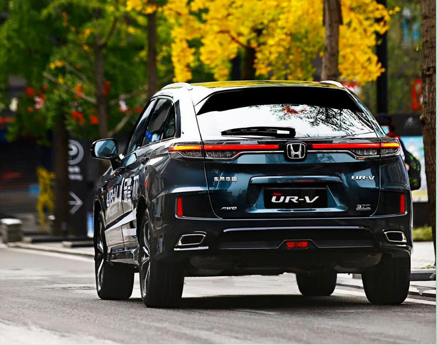 暢游樂逸蓉城，感受市井“慢生活”