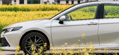 丨廣汽豐田天嬌寶慶店丨全新凱美瑞智能陪伴，將帶你馭見絕美婺源