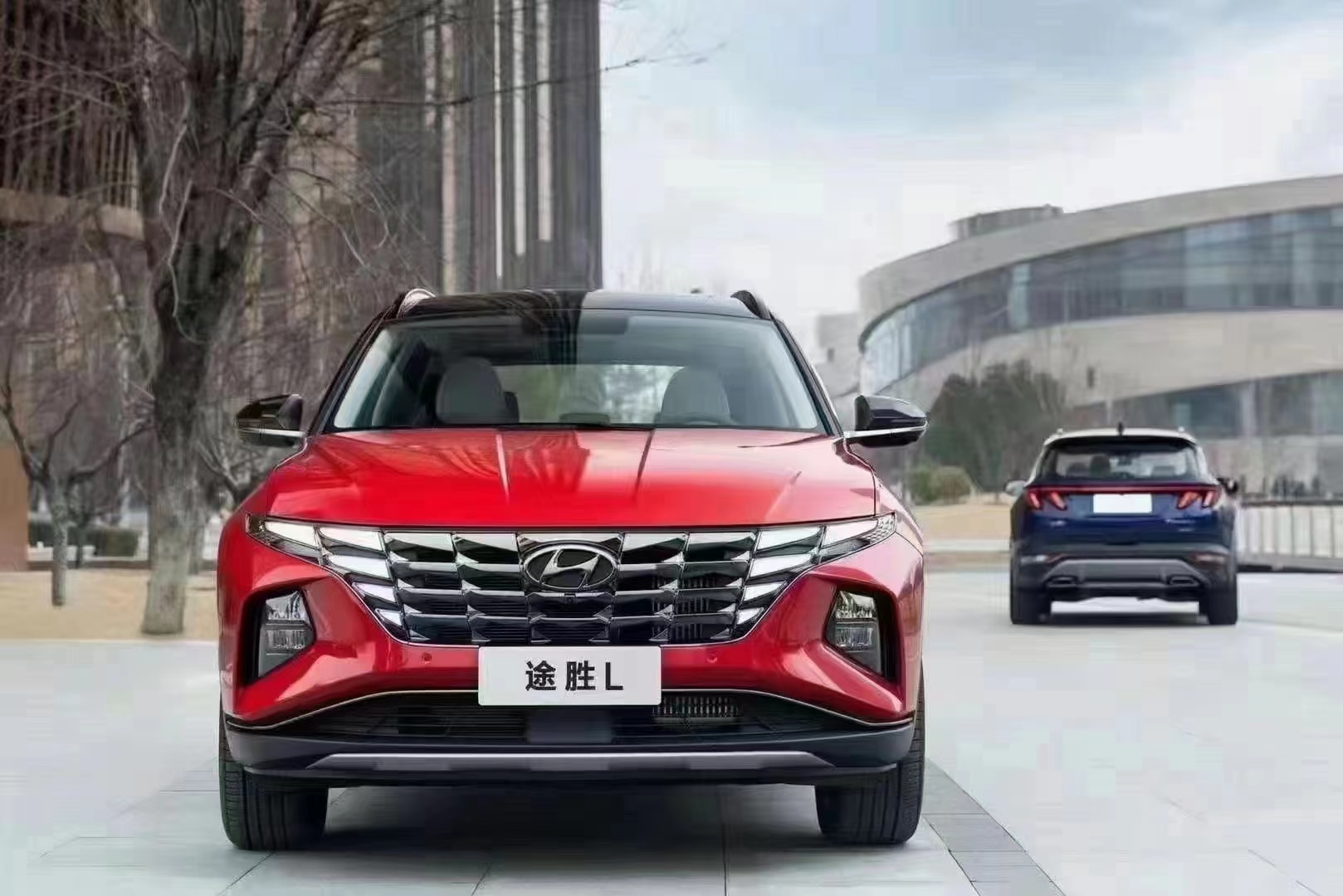 如何呵護(hù)家人，看這兒！